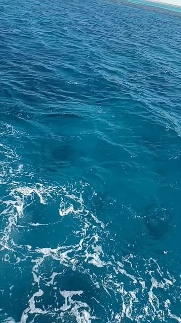 красное море