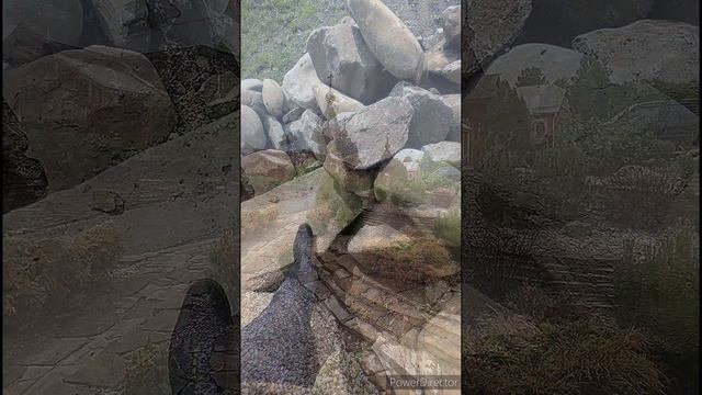 КРУЖКА. 
Автор: Наталья Журба.
