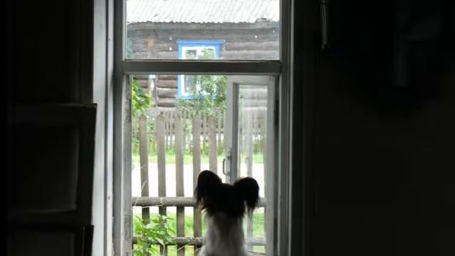 Деревянные лошадки