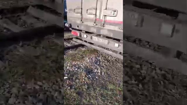ВЕСЕЛЫЙ ОМСК ПОЧТА БАНК 89059421154