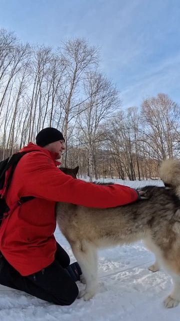 Мы с тобой одной крови