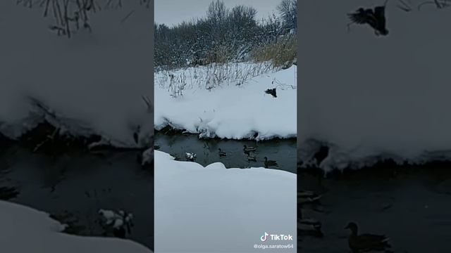 #я думала это весна,а это оттепель 🤗#