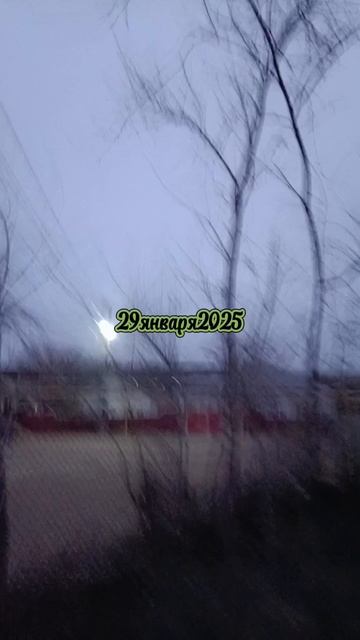 29января2025
