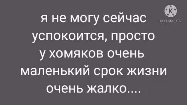 у меня умер хомяк... (читать описание)