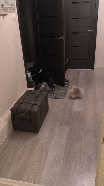 Встречают с работы!