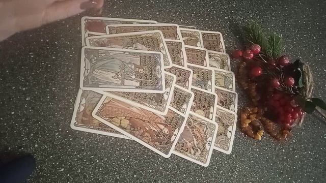 VID_20250129_155025.mp4