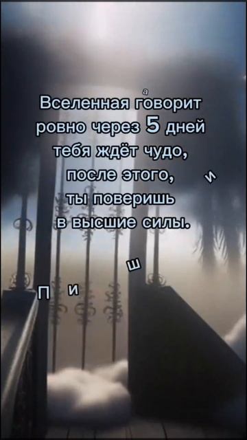 Отсчёт начался 29.01.25