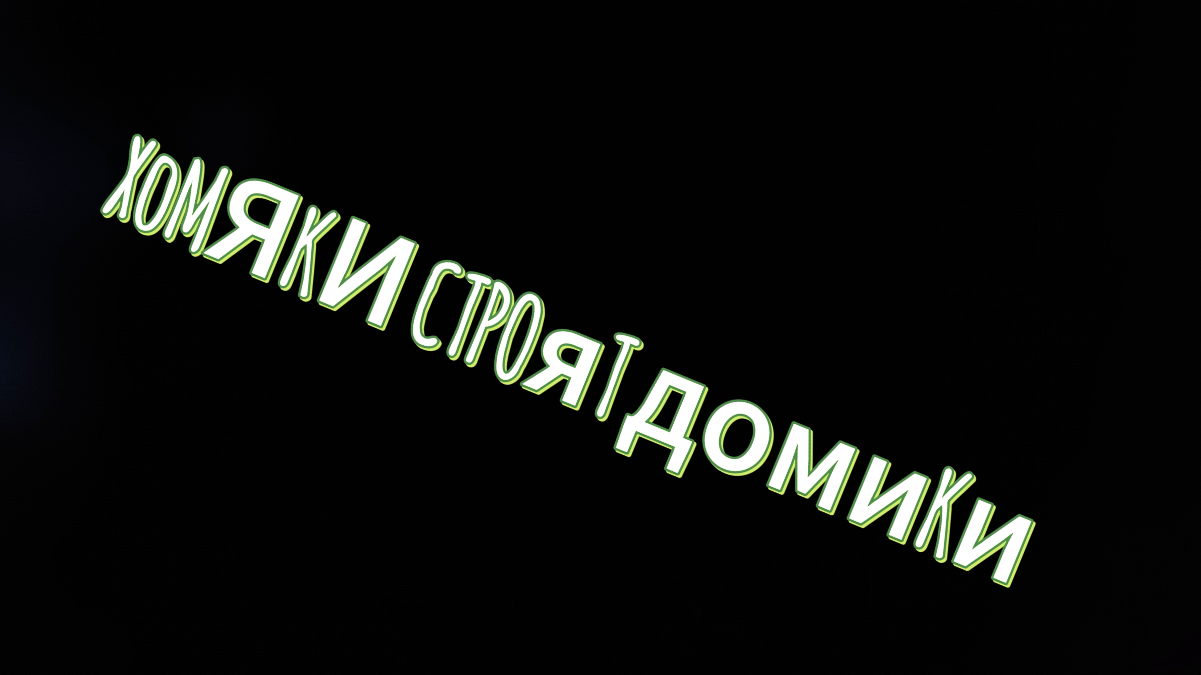 хомяки строят домики!