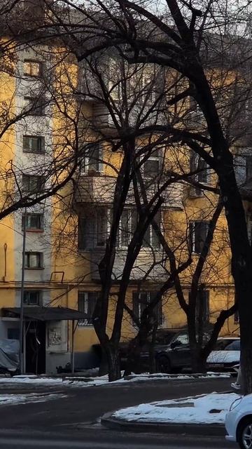 Утро Алматы. 29.01.2025.