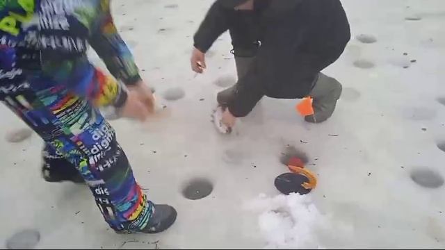 25.01.25 г. Парк отдыха водопад