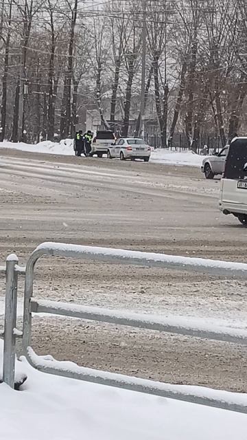 ДПС, как муравьи, больше себя добычу поймали