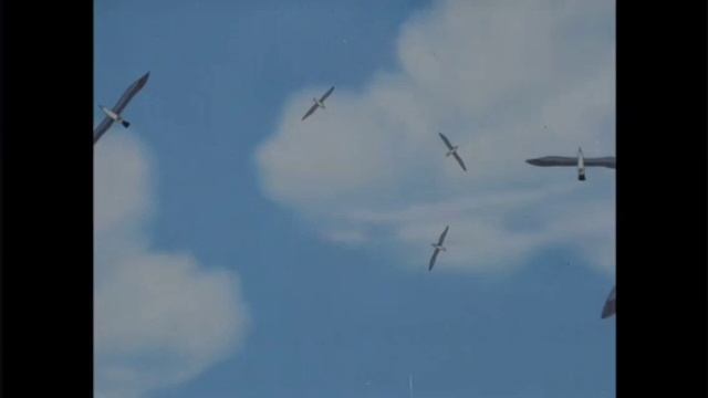 ДОБРЫЕ МУЛЬТИКИ. Приключения пингвинёнка Лоло. Часть 2