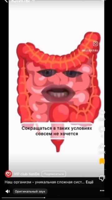 #рекомендации #рек #лучшаяверсиясебя #прикол #смех #пп #спорт