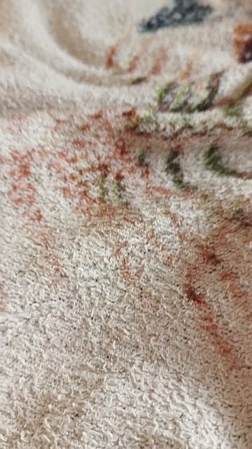 пишите идеи для снятия видео