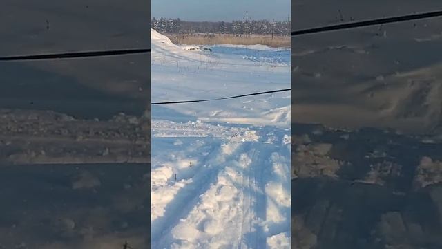 Свободна. Сабрина 4,5 мес