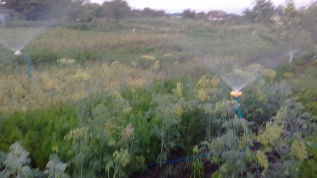 Хитрый Полив Огорода С  Регулятором и Разветвителем