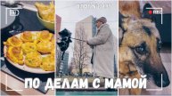 ВЛОГ №3497: Едем про делам с мамой | Готовлю вкусняшки | Арина вам читает 28.01.25