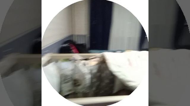 29-01-2025