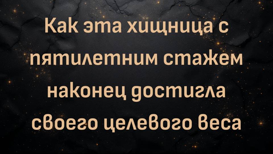Как эта хищница с пятилетним стажем наконец достигла своего целевого веса