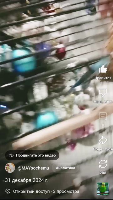 1000019139.mp4