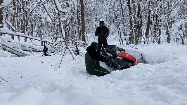Жизнь в Деревне/Сложный день-Пришлось избавиться от Жеребца