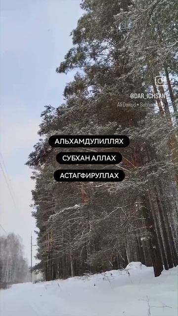 не забываем перед сном