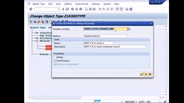 Business Application Programming Interface tutorials Part 11