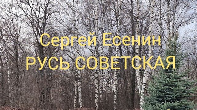 Сергей Есенин Русь Советская Читает Кирпиченкова людмила