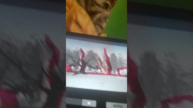 1000009631.mp4