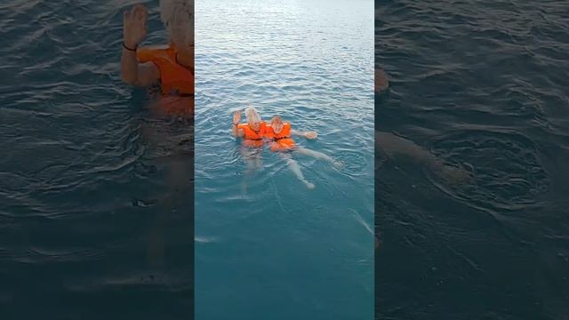 VID_20241001_180236