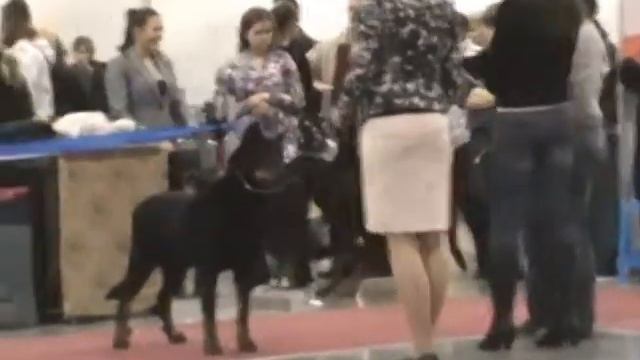 Евразия 2, 25.03.2012, ветераны