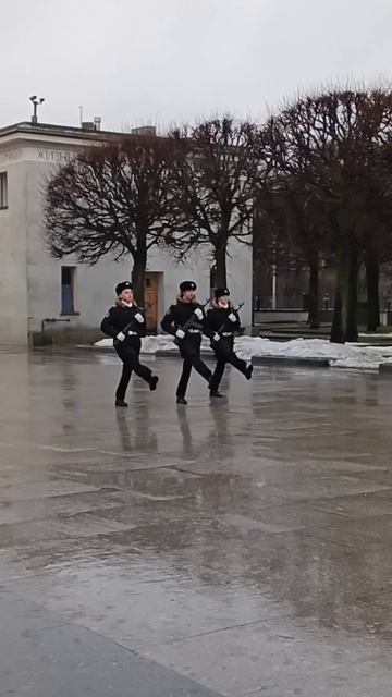 На Пискарёвском