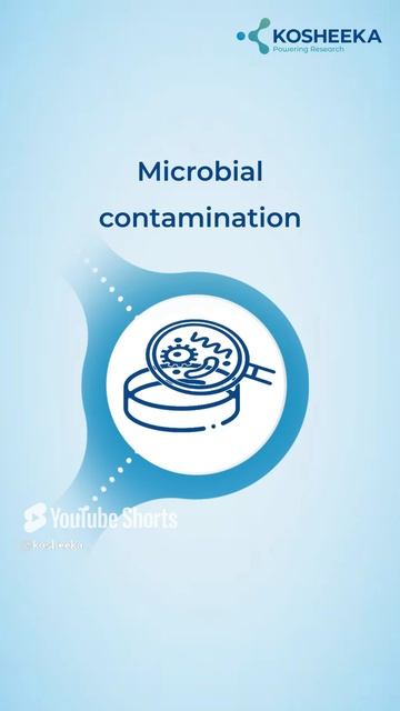 What are Some Comon Causes of Cell Death in Culture? #cellculture #research #cellbiology