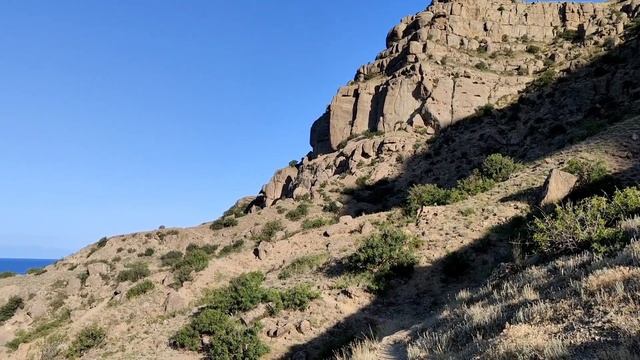 БЕЛОЕ СОЛНЦЕ БАР проБЕЗдилей2