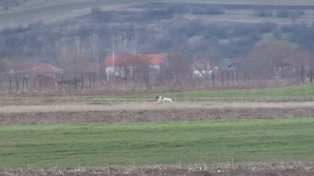 ASTİ DE AKELARRE