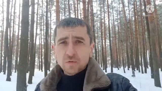 как купить весной не заражённых  пчёл
