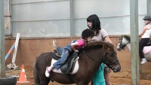 Лошади 2