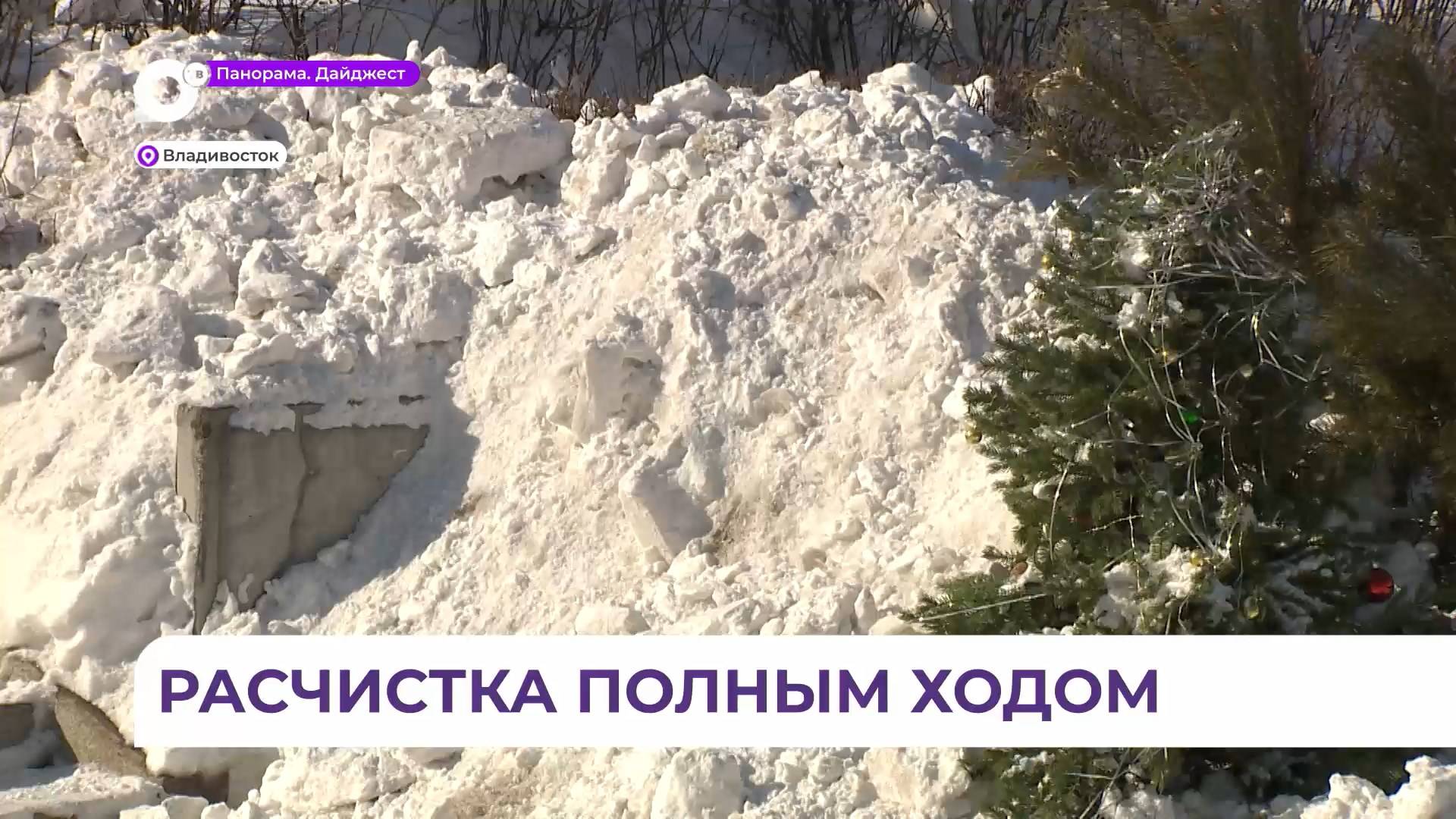 Снег во Владивостоке убирают не только на дорогах, но и во дворах