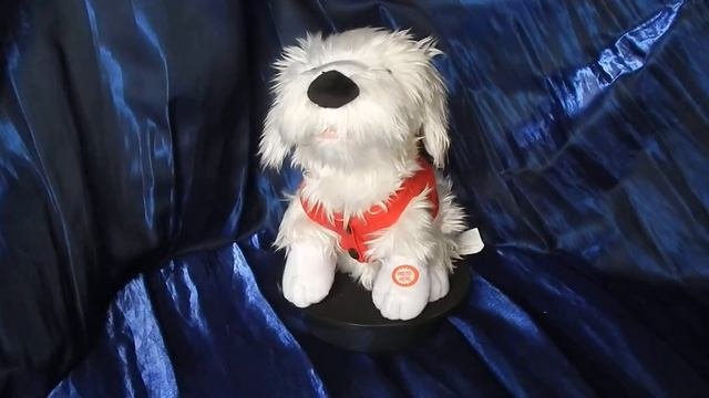 Dog Boy From The White Duo Singing 