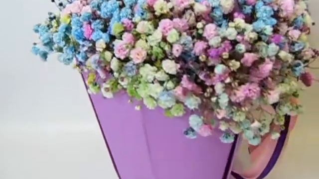 Радужная гипсофила в сумочке 22х22