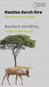 "Giftigt" Rammstein / Teil 1 / Учите немецкий язык по песням! #shorts