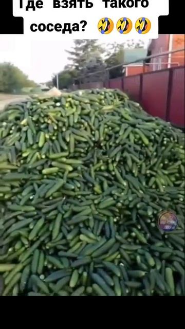1000005917.mp4