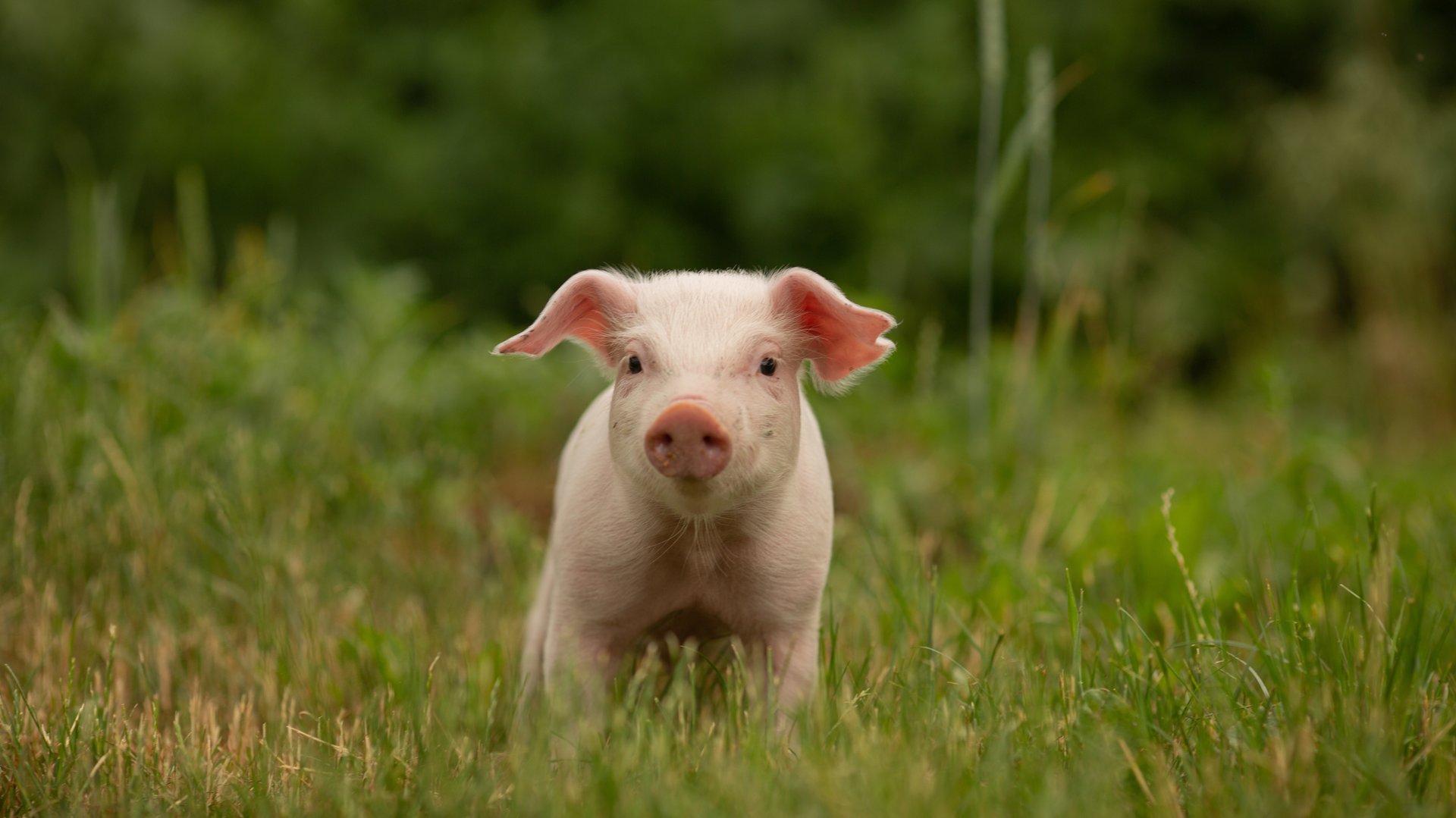 🎵  Мама, почему 🎵