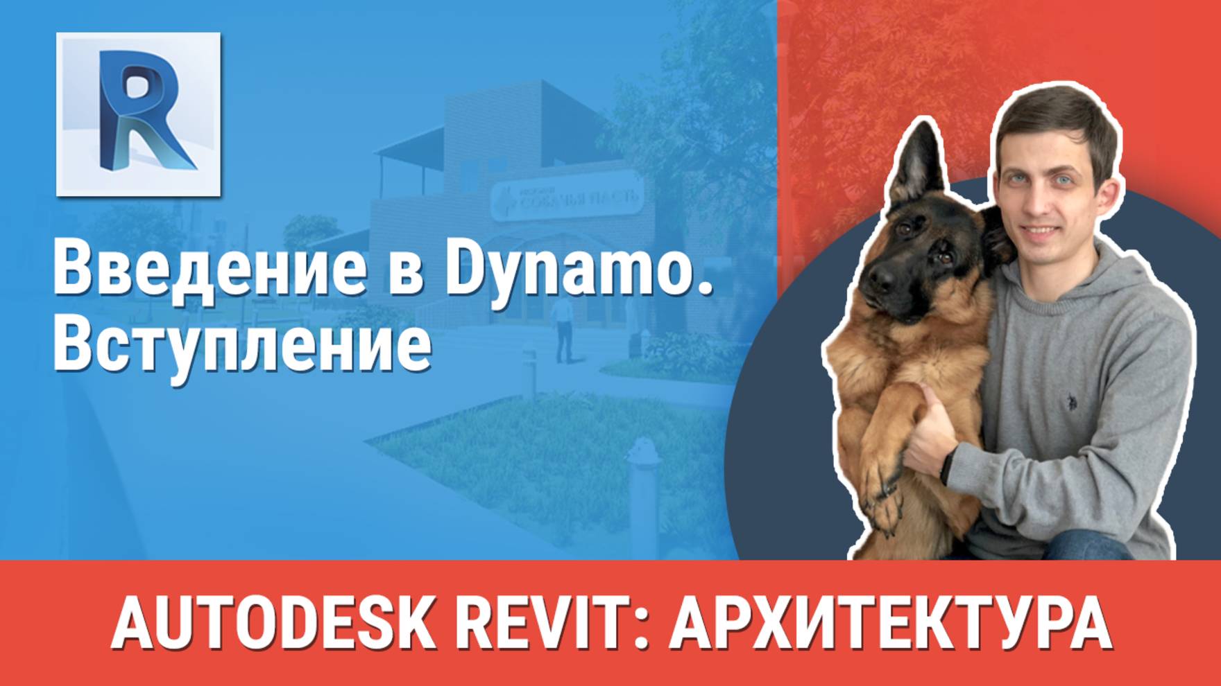 [Курс «Revit Архитектура: Продвинутый»] Вступление к блоку «Введение в Dynamo»