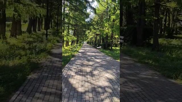Бугульма, по дороге на любимую работу