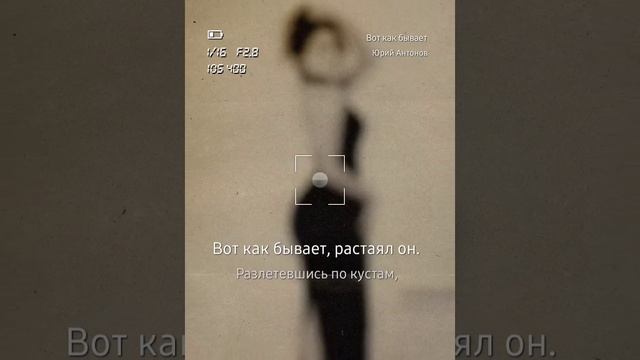 Вот как бывает, декаданс