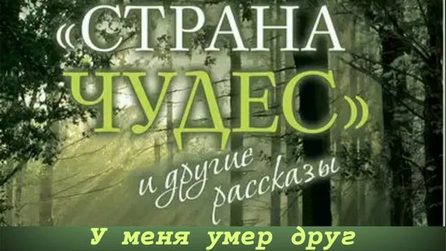 У меня умер друг   Протоиерей Андрей Ткачев   Рассказ из книги  Страна чудес и другие рассказы  720