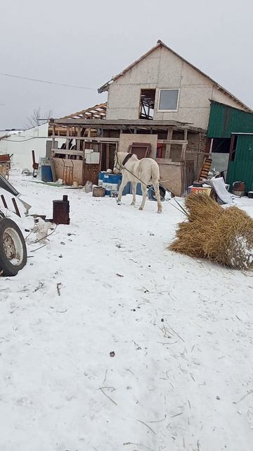 помощница