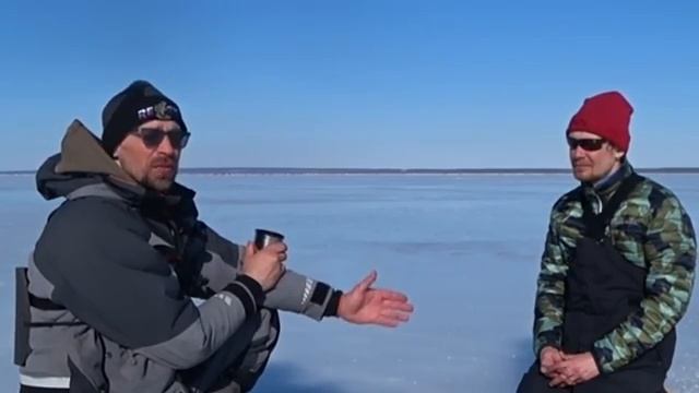 Руки ЗАТРЯСЛИСЬ от такой рыбалки. ЖОР судака в стаде ГИГАНТОВ