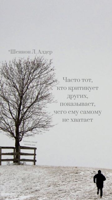 Цитата дня